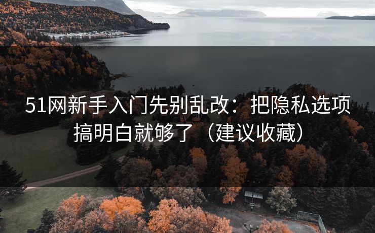 51网新手入门先别乱改：把隐私选项搞明白就够了（建议收藏）