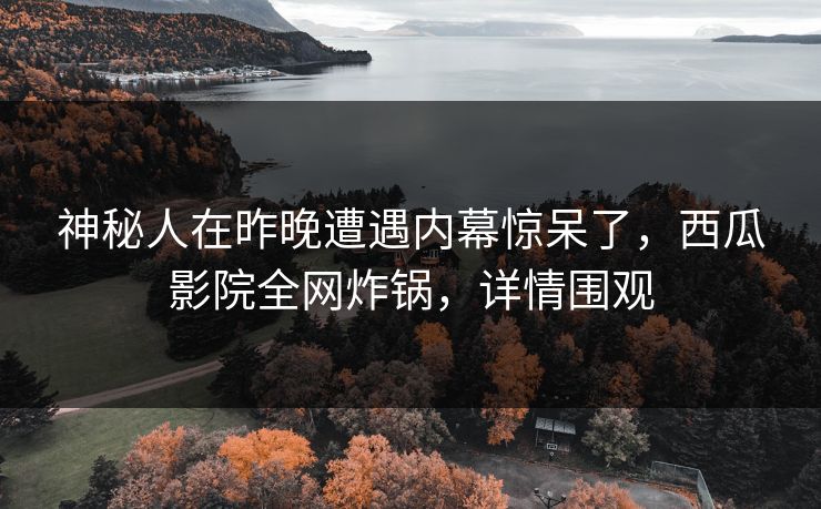 神秘人在昨晚遭遇内幕惊呆了，西瓜影院全网炸锅，详情围观